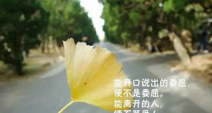 适合发早安的暖心句子（清晨的暖阳，送来美好的祝愿）