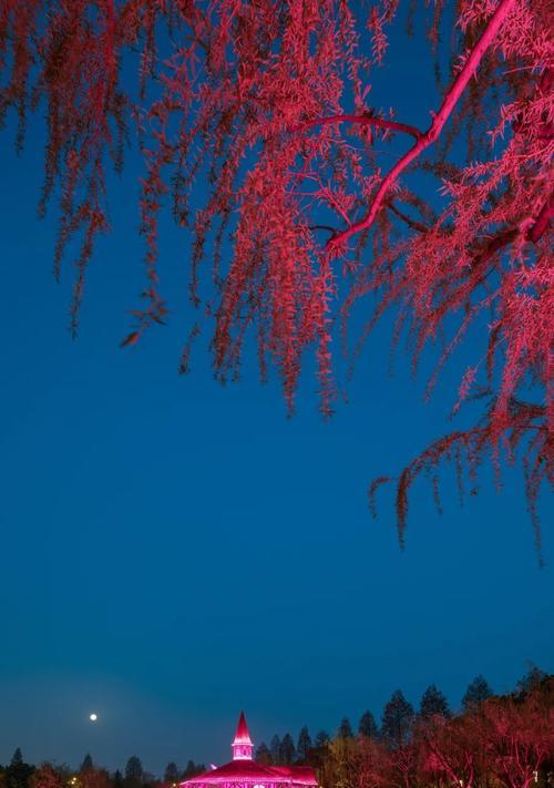 发夜景朋友圈说说（夜色之美，朋友圈独享）