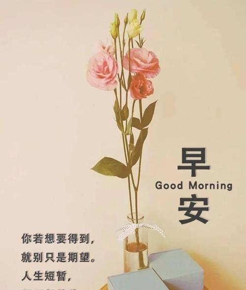 适合发朋友圈最有正能量的短语（适合发朋友圈正能量短句）