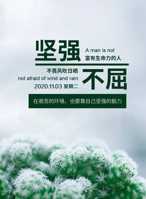 关于早安正能量发朋友圈句子（朝阳之美，映照心灵）