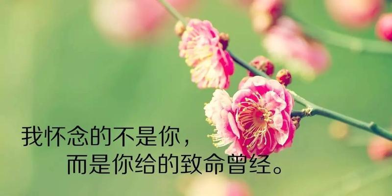 适合发朋友圈的早安句子,精辟哲理,句句激励人心（美好的一天从早安开始）