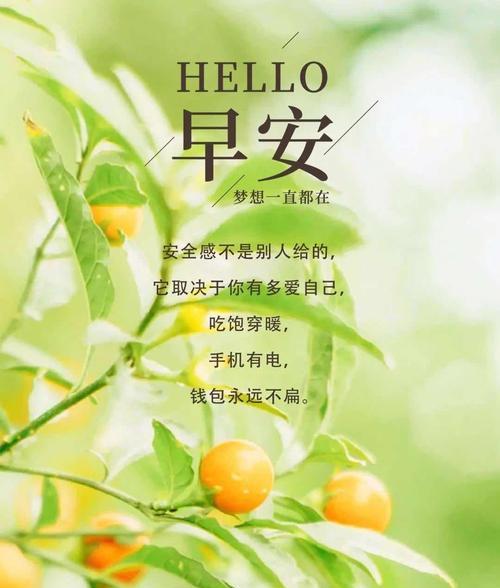 最适合发朋友圈的早安心语,句句暖心（2024早安，阳光如昨日）