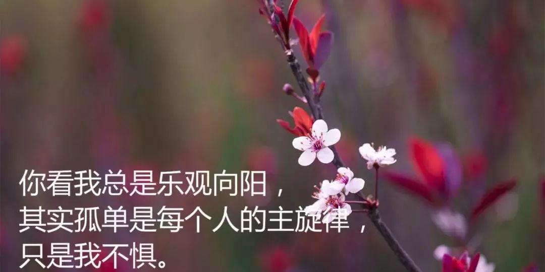 有关适合发朋友圈的名言警句的句子简短（借名言警句，送你一份深情的祝福）