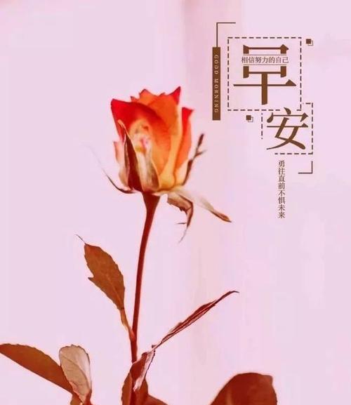 发朋友圈里的好句子（静水深流）