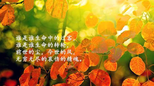 路难走也要坚持的诗句（人生路之难在坚持）