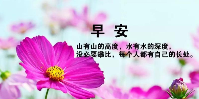 人生理想语录（理想的人生伴侣）