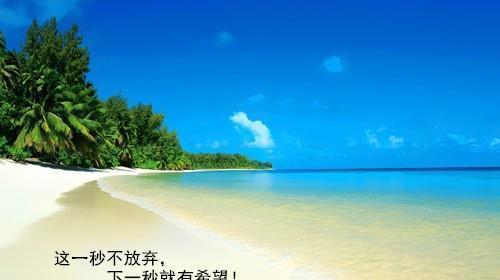 关于人生理想的短句（《追寻梦想的旅途》）