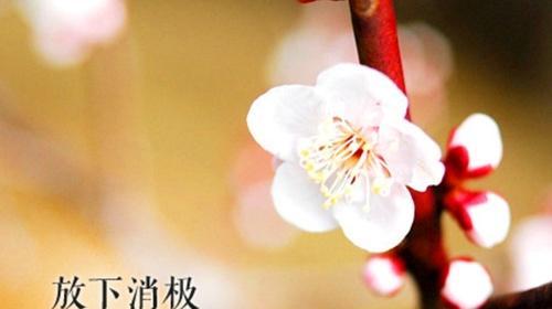 经历挫折名人名言（经历挫折，我依旧在向前）