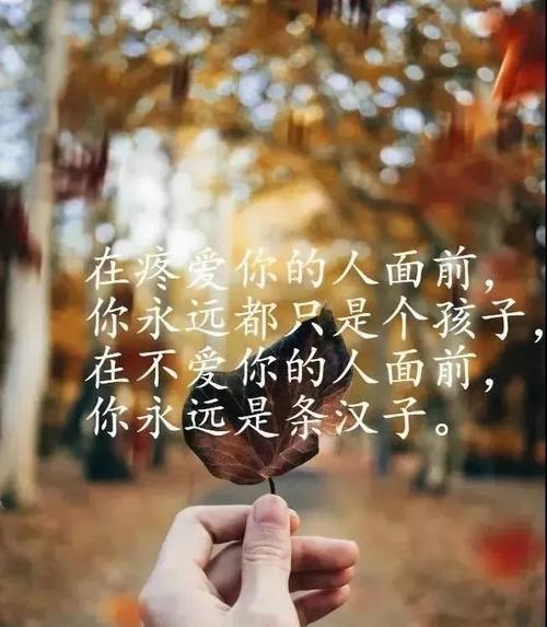 有关人生经典句子的短句英语（人生经典句子）