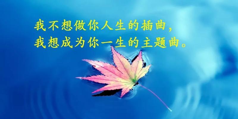 人生感悟哲理的句子（用心感悟生命，用智创造未来）