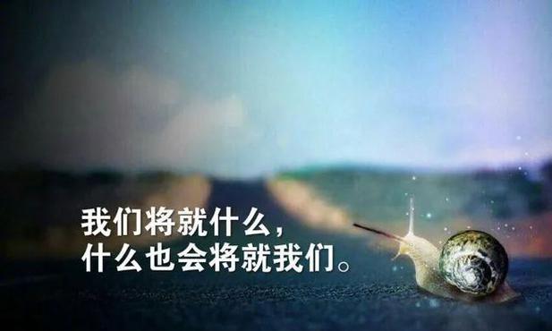 有关人生感悟经典句子的好句摘抄（用心感受，感悟人生）