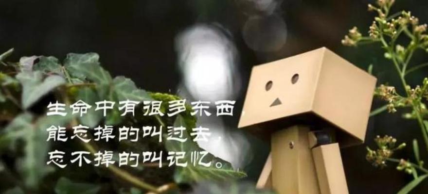 有关人生的抉择名言名句的好句有哪些（探寻自我、追求梦想的指南）