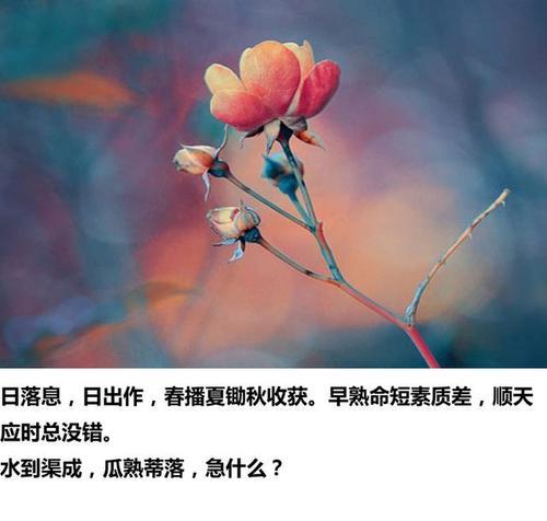 有关人生道路曲折的名言的句子摘抄（曲折之路，美丽人生）