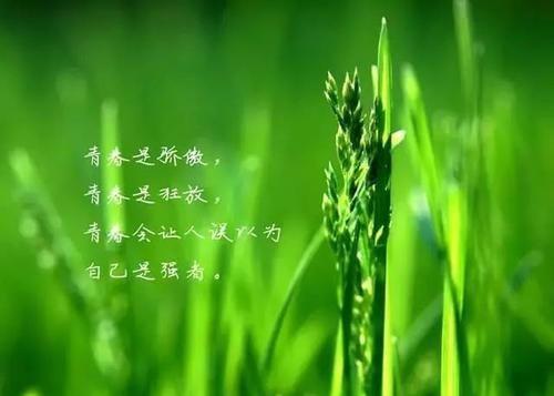 关于人生道路上的名言（人生道路如梦幻）