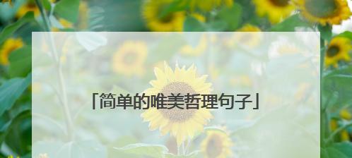 关于人生哲理的好句好段摘抄大全（指路明灯）
