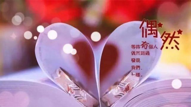 关于对爱情诠释的文章（诠释爱情的句子经典说说）