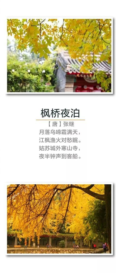 有关秋天的词语和优美句子（2024秋天，那些美好的瞬间）