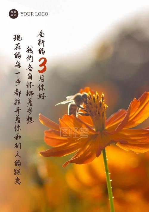 三月你好语句（2024三月，你好！）