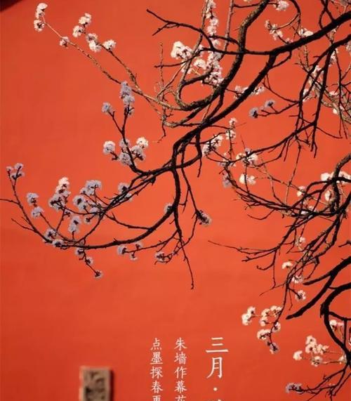 3月份朋友圈文案（初春三月，流年如水）