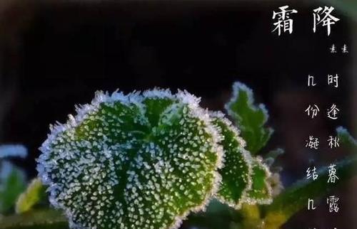 秋天霜降的诗句（唯美短句，写尽秋季美景，）