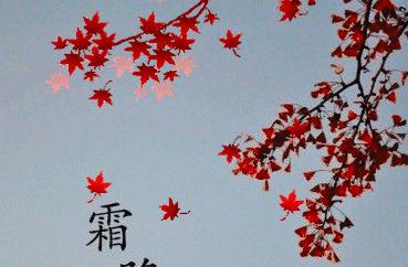 秋天霜降的诗句（唯美短句，写尽秋季美景，）