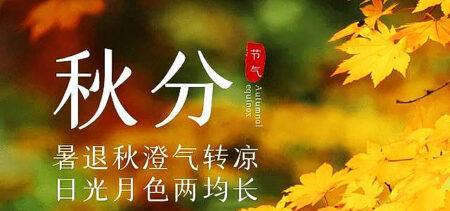秋分暖心的短句（感受秋天的魅力）