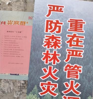 冬季森林防火安全知识宣传（用心防火，保卫森林）