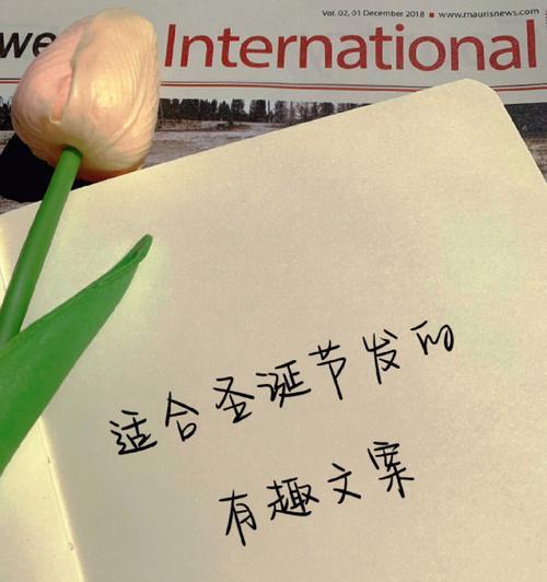 有关庆祝圣诞节温馨句子的短句（庆祝圣诞节温馨句子）