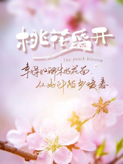 青春拼搏的励志语句（青春拼搏，绽放人生）