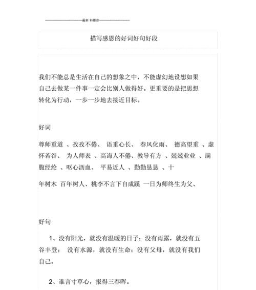 关于青春爱情的唯美句子或段落（青春里的爱情）