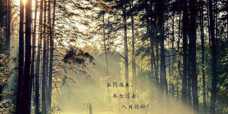 七月再见8月你好的句子（以七月再见八月你好——唯美短句励志说说）
