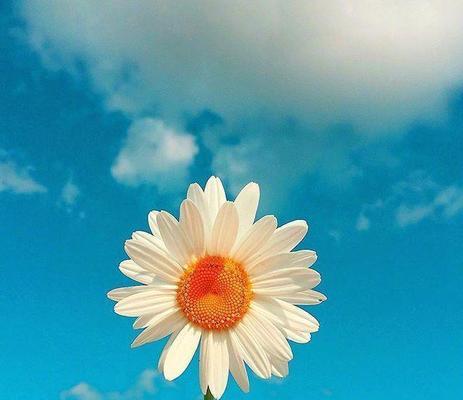 天气热发说说怎么发（天热了）