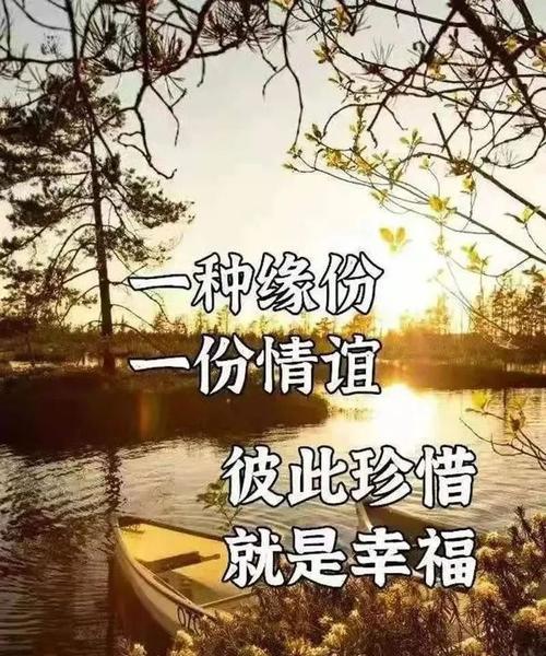 每日微语录（微信好句子，美好人生）