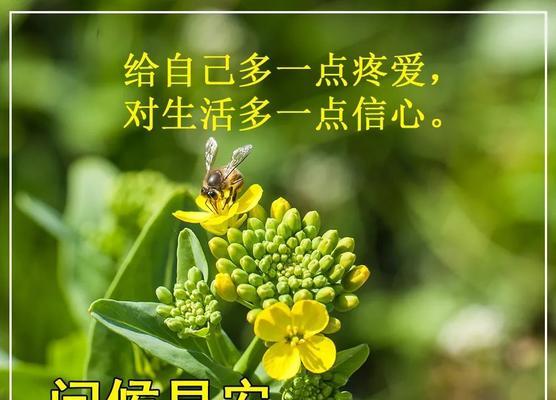 每日开心一笑的句子（每日开心一笑早安问候寄语）
