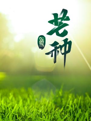 关于芒种的文案怎么写（芒种，一个充满生机和活力的节气）