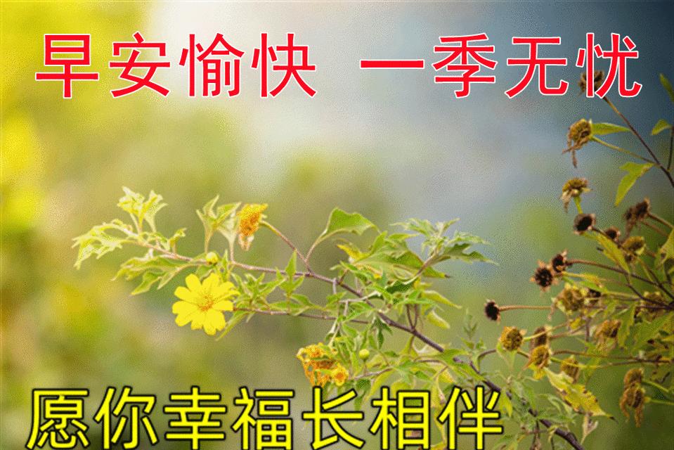 元旦第一天早上祝福语（寄语新年，短句唯美）