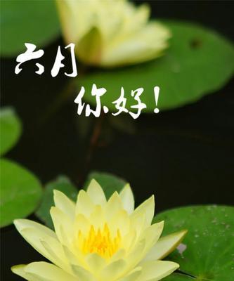 六月你好短句（六月好时光：104句正能量祝福语）