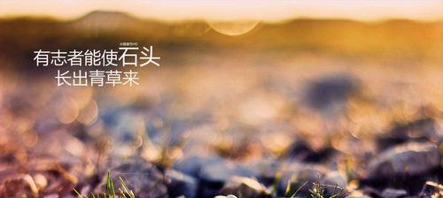 励志祝福好词（用心祝福，心想事成）