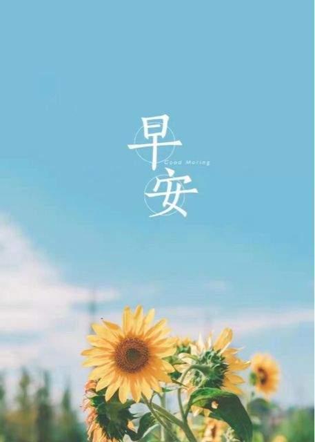 励志祝福的话语,句句暖人心（励志祝福好句子）