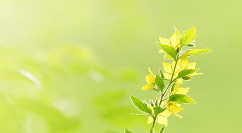 有关励志重新开始的句子的句子有哪些（励志重新开始）