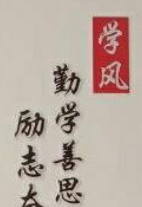 有关志存高远的警句（志存高远，追寻卓越）