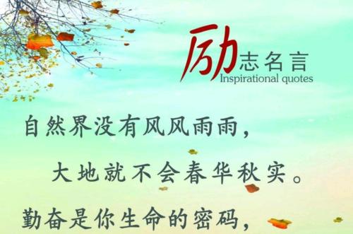 有关上进的名言警句（《奋发向前，追求卓越》）