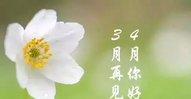 （春光明媚，换季有你我在）