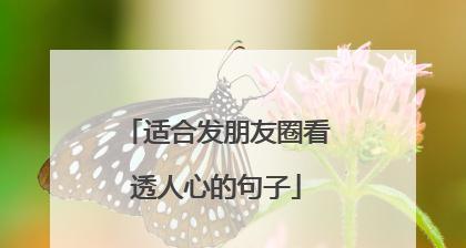 公司年会发朋友圈怎么说（共筑辉煌未来，放飞梦想翅膀）