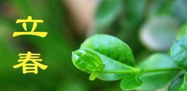 立春节气怎么发说说（2024年立春节气——带着希望迎接春天）