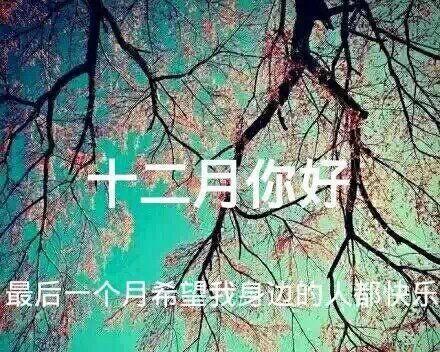 2024年最后一个月该怎么过（穿越时间的呢喃）
