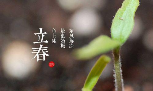 2024年的立春的具体日期和时间（牛气冲天）