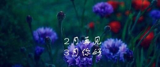 三月你好的句子怎么说（三月，花开遍地）