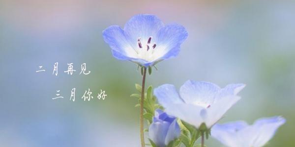 三月你好的句子怎么说（温暖的春光，缤纷的生机）