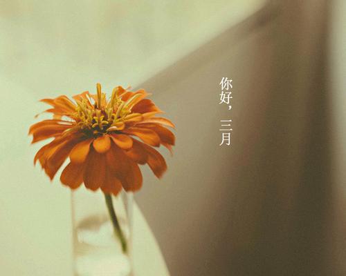 三月你好的句子怎么说（温暖的春光，缤纷的生机）